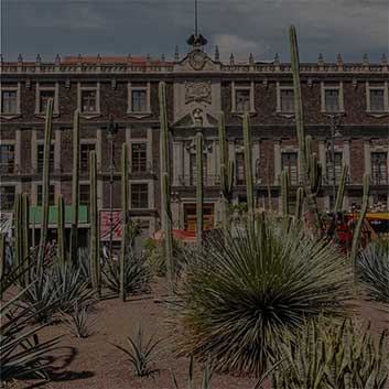 Exposiciones